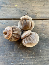 Load image into Gallery viewer, Autumn Velvet Acorns
