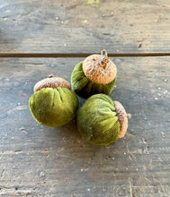 Load image into Gallery viewer, Autumn Velvet Acorns
