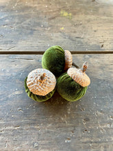 Load image into Gallery viewer, Autumn Velvet Acorns
