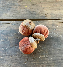 Load image into Gallery viewer, Autumn Velvet Acorns
