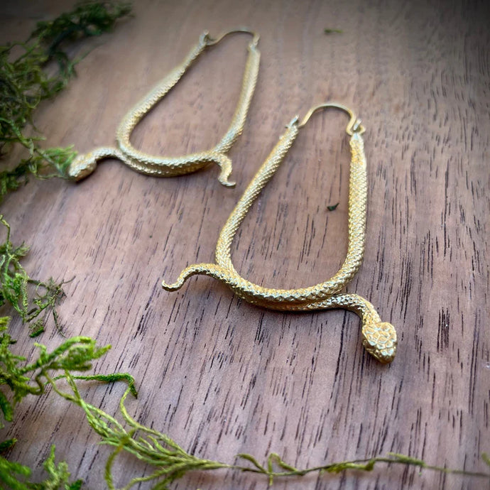 Brass  twisted Serpent hoops with wire closure displayed with greenery