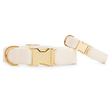 Load image into Gallery viewer, Small and Medium Ivory velvet dog collars with brass hardware.
