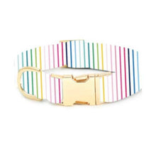 Load image into Gallery viewer, Happy Stripe Dog Collar - Medium
